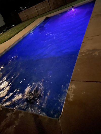 🌟New Series — Poolside Solar Light for Swimming Pool ✨